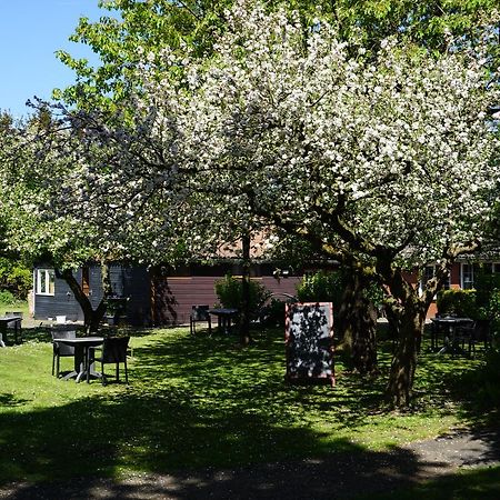 Eesergroen Lucy'S Inn المظهر الخارجي الصورة