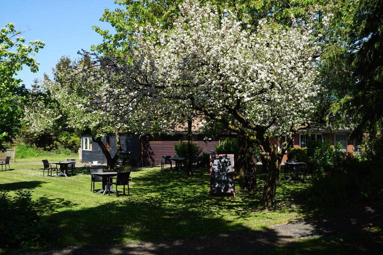Eesergroen Lucy'S Inn المظهر الخارجي الصورة